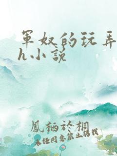 军奴的玩弄调教h小说