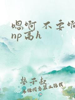 嗯啊 不要啊 np高h