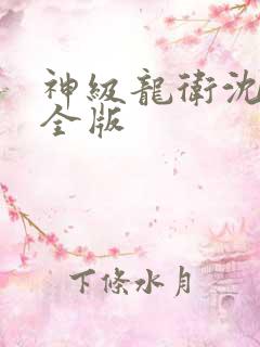 神级龙卫沈浪完全版