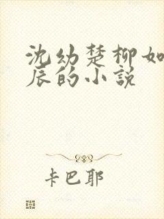 沈幼楚柳如烟顾辰的小说