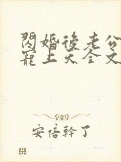 闪婚后老公每天宠上天全文免费阅读