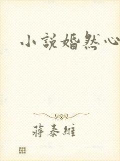 小说婚然心动