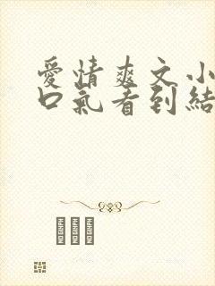 爱情爽文小说一口气看到结局