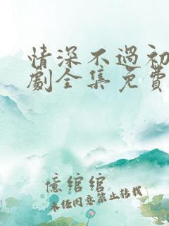 情深不过初见短剧全集免费观看