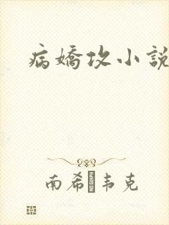 病娇攻小说