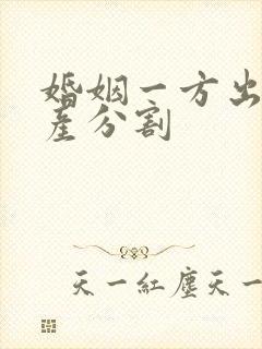 婚姻一方出轨财产分割