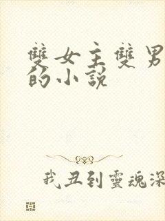 双女主双男主角的小说