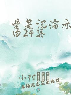 爱是沉沦亦是自由24集