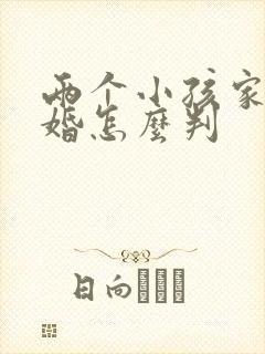 两个小孩家暴离婚怎么判