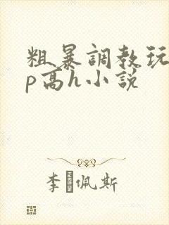 粗暴调教玩弄np高h小说