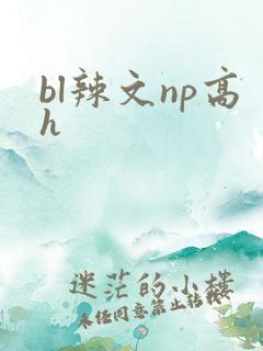 bl辣文np高h