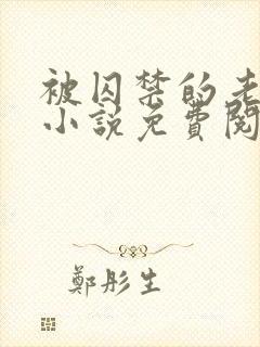 被囚禁的老实人小说免费阅读