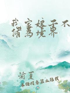 我家娘子不对劲修为境界