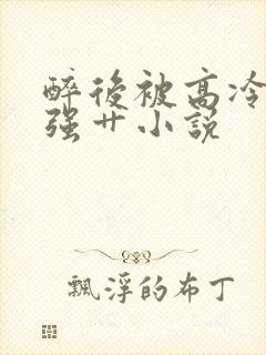 醉后被高冷哥哥强艹小说