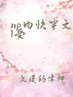 np肉快穿文bl受