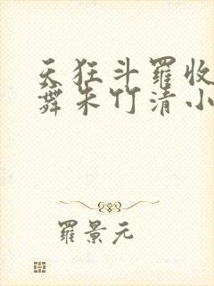 天狂斗罗收服小舞朱竹清小说