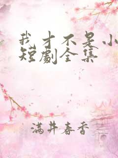 我才不是小可怜短剧全集