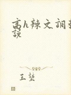 高h辣文调教小说