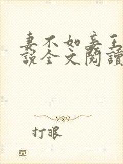 妻不如妾王野小说全文阅读