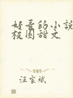 好看的小说推荐校园甜文