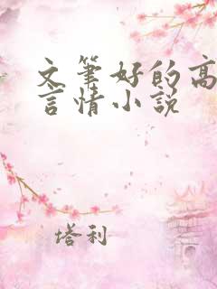 文笔好的高质量言情小说