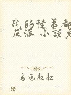 我的徒弟都是大反派 小说免费