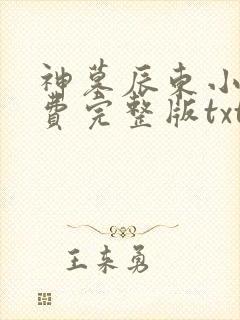 神墓辰东小说免费完整版txt