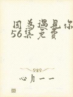 因为遇见你1—56集免费