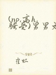 (np,高h,骚受)男男文