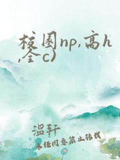 校园np,高h,全c)