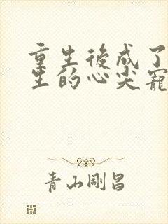 重生后成了陆先生的心尖宠一