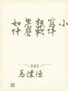 如果想写小说用什么软件