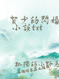 贺少的闪婚暖妻 小说txt