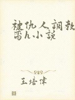 被仇人调教成禁脔h小说