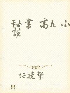 秘书 高h 小说