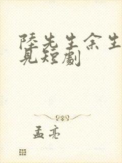 陆先生余生不相见短剧