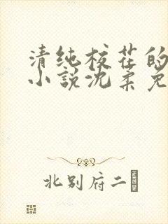 清纯校花的日常小说沈柔免费阅读