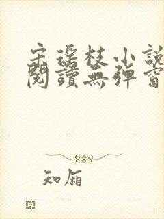 宋瑶枝小说免费阅读无弹窗最新章节