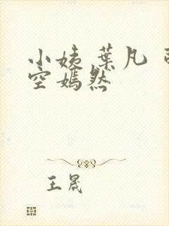 小姨 叶凡 司空嫣然