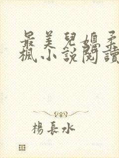 最美儿媳柔佳文枫小说阅读免费