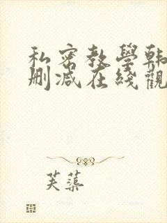 私密教学韩漫无删减在线观看