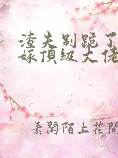 渣夫别跪了夫人嫁顶级大佬啦免费阅读