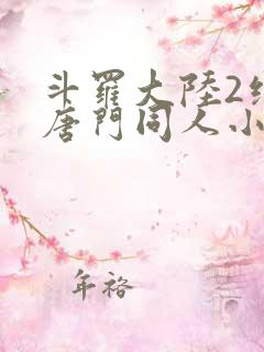 斗罗大陆2绝世唐门同人小说