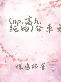 (np,高h,纯肉)公车文