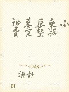 神墓辰东小说免费完整版