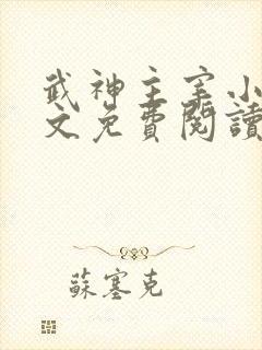 武神主宰小说全文免费阅读无弹窗