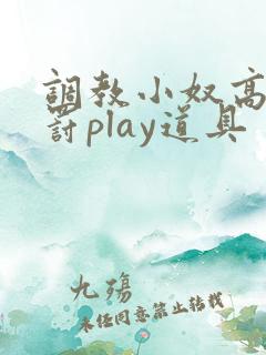 调教小奴高潮惩罚play道具