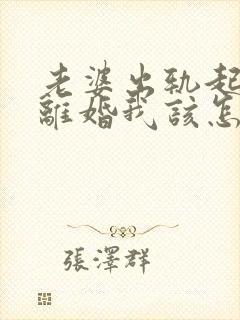 老婆出轨起诉我离婚我该怎么办