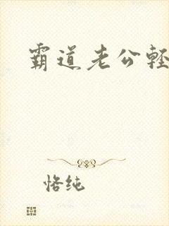 霸道老公轻点爱