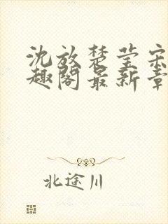 沈放楚莹宋晚笔趣阁最新章节更新